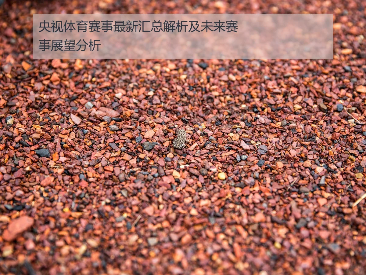 央视体育赛事最新汇总解析及未来赛事展望分析